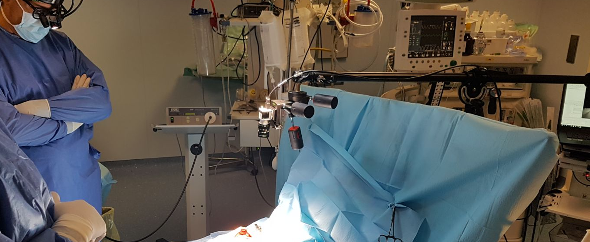 ViKiE system during cardiac surgery